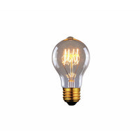 Canarm Edison Bulb