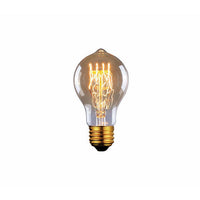 Canarm Edison Bulb