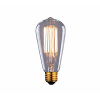 Canarm Edison Bulb