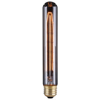 Canarm Edison Bulb