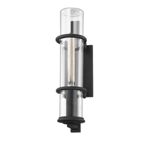 Elm 1-Light Large Outdoor Wall Light