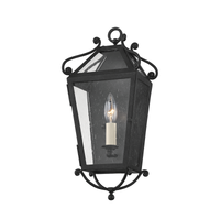Santa Barbara County 1-Light Small Outdoor Wall Light