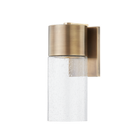Pristine 1-Light Small Outdoor Wall Light