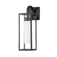Pax 1-Light Medium Outdoor Wall Light