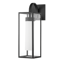Pax 1-Light Large Outdoor Wall Light