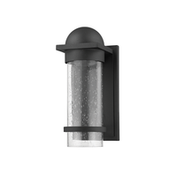 Nero 1-Light Medium Outdoor Wall Light