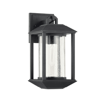 Mccarthy Outdoor Wall Light