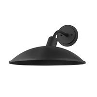 Otis 1-Light Large Outdoor Wall Light
