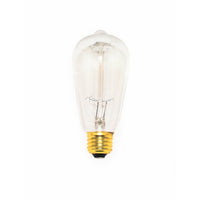 40W Incandescent E26 ST58 120V CL Bulb