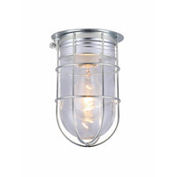 Outdoor Barn Ceiling/Wall Light