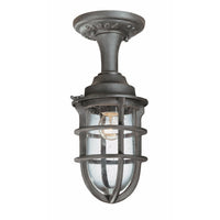 Wilmington Outdoor Ceiling Light