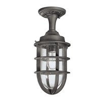 Wilmington Outdoor Ceiling Light