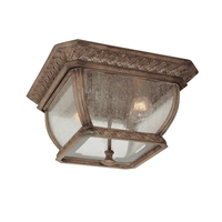 Biscayne Outdoor Ceiling Light
