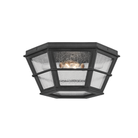 Lake County 2-Light Flush Mount