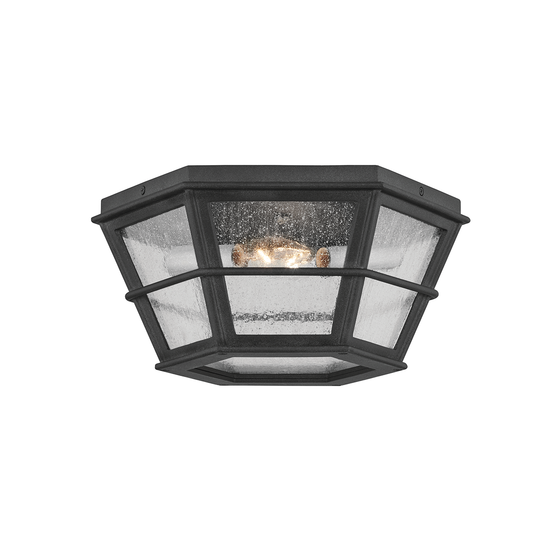 Lake County 2-Light Flush Mount
