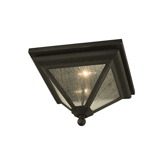 Geneva Outdoor Ceiling Light