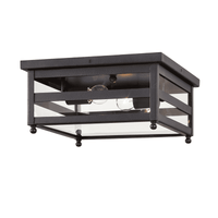 Holstrom Outdoor Ceiling Light