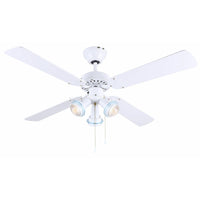 Catalyst Ceiling Fan