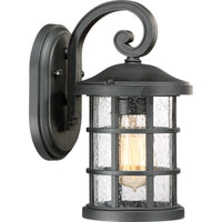 Crusade Outdoor Wall Light