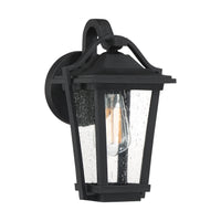 Darius Outdoor Wall Light