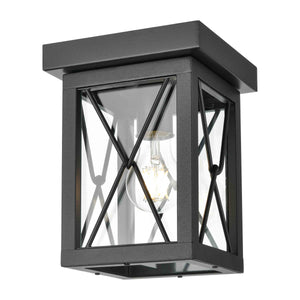 County Fair Outdoor Ceiling Light Black with Clear Glass