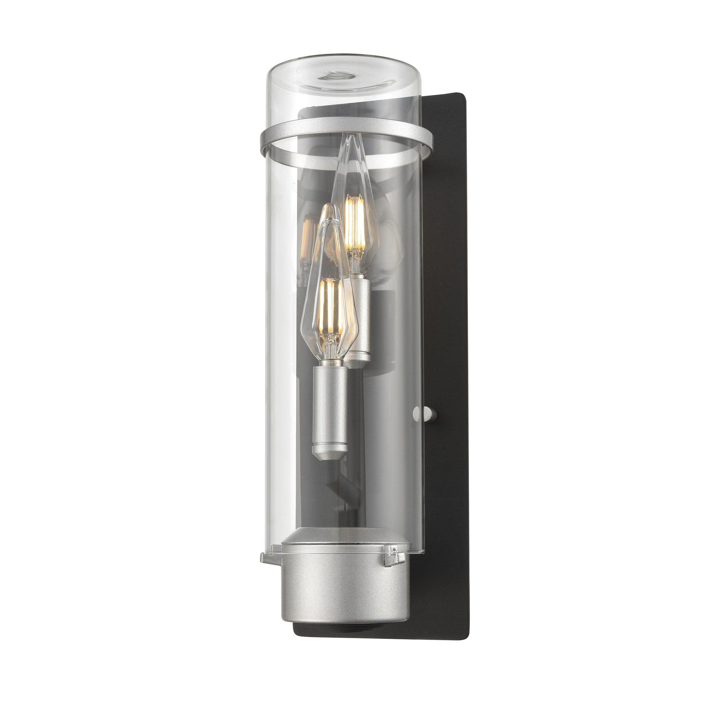 Exeter Outdoor Wall Light Stainless Steel and Black with Clear Glass