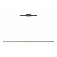 Hover Linear Suspension