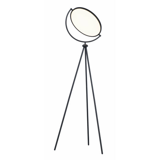 Paddle Floor Lamp