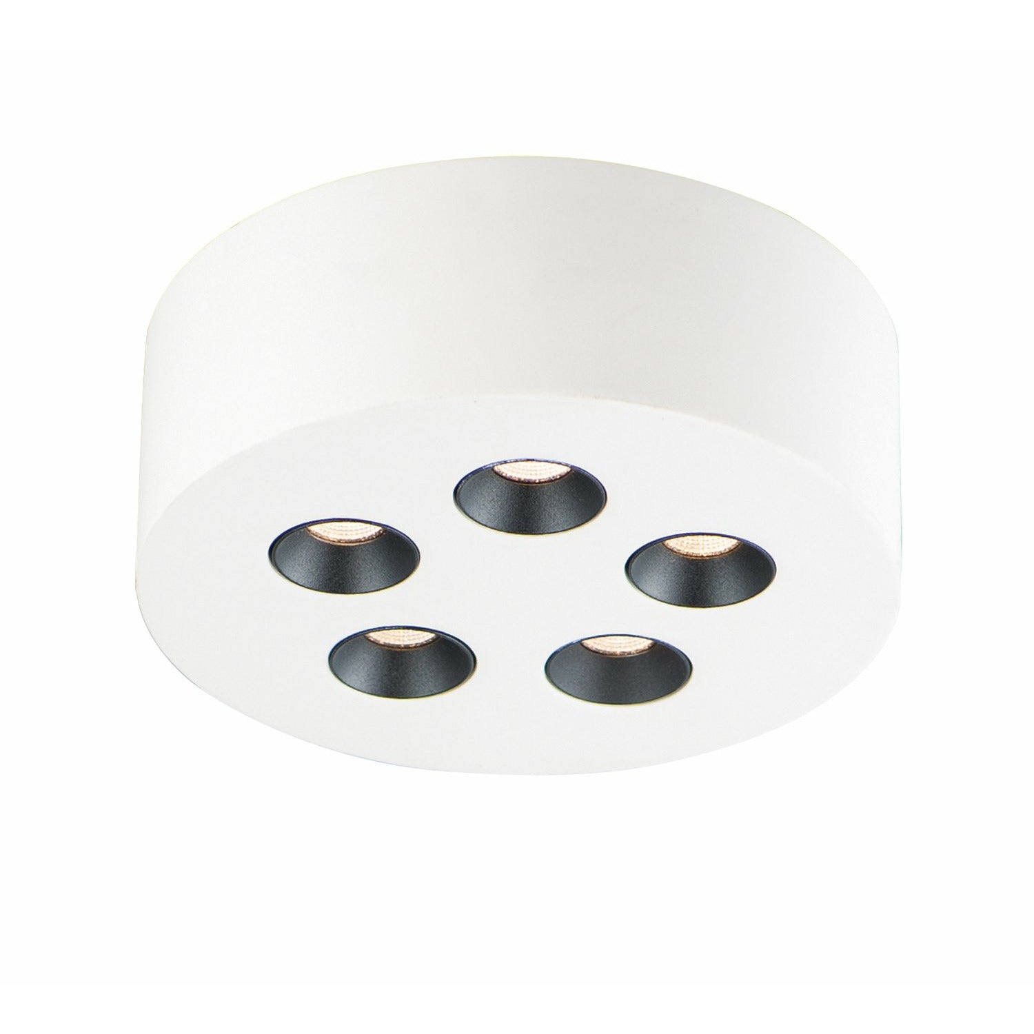 Peg Flush Mount White