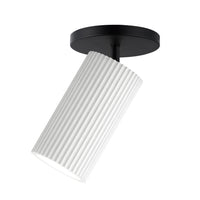 Pleat Flush/Wall Mount