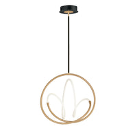Mobius 24" LED Pendant