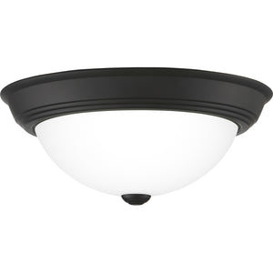 Erwin Flush Mount Matte Black