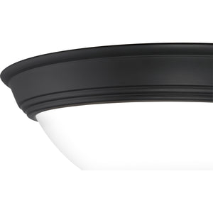 Erwin Flush Mount Matte Black