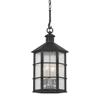Lake County 4-Light Outdoor Pendant