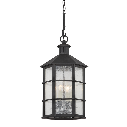 Lake County 4-Light Outdoor Pendant