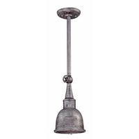 Raleigh Outdoor Pendant
