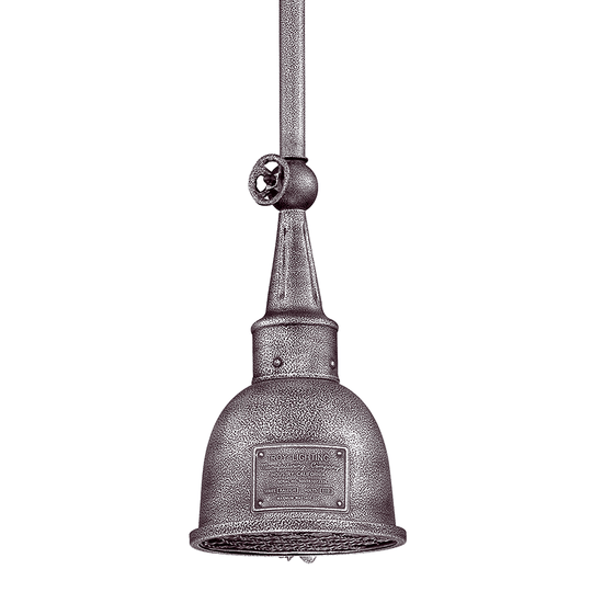 Raleigh Outdoor Pendant
