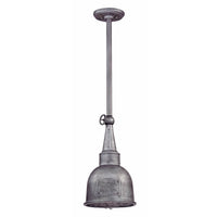 Raleigh Outdoor Pendant
