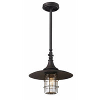 Allegheny Outdoor Pendant
