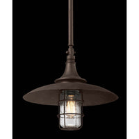 Allegheny Outdoor Pendant