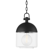 Zephyr 1-Light Large Outdoor Pendant