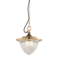 Fly Boy Mini Pendant