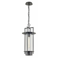 Carroll Park Outdoor Pendant