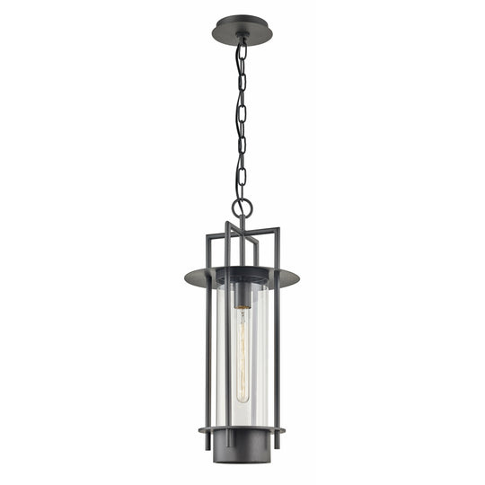 Carroll Park Outdoor Pendant