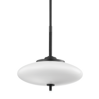 Fallon 2-Light Pendant