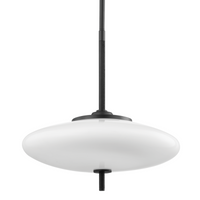 Fallon 2-Light Pendant