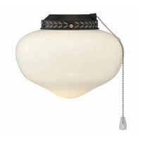 Indoor/Outdoor Fan Light Kit