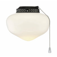 Indoor/Outdoor Fan Light Kit