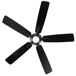 Mykonos 5 Indoor/Outdoor 5-Blade 60" Smart Ceiling Fan with LED Light Kit and Remote Control