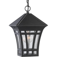 Herrington One Light Outdoor Pendant (with Bulbs)